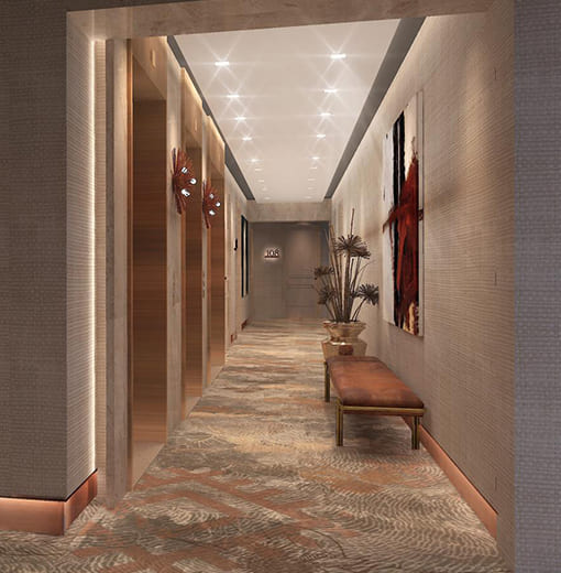 carpet rugs