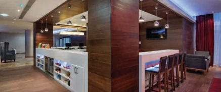 Hampton By Hilton Hotel KAYASEHIR